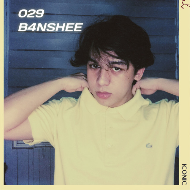 029 cover art