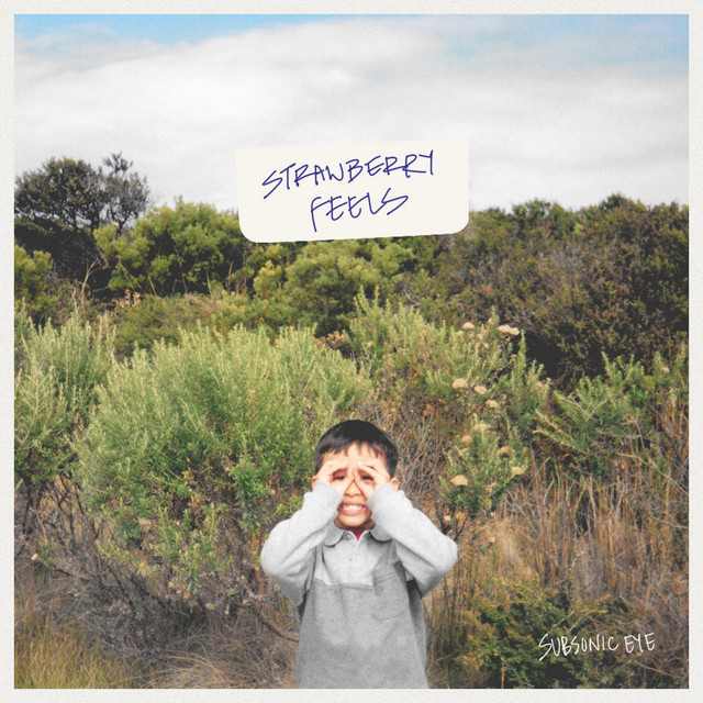 Strawberry Feels cover art