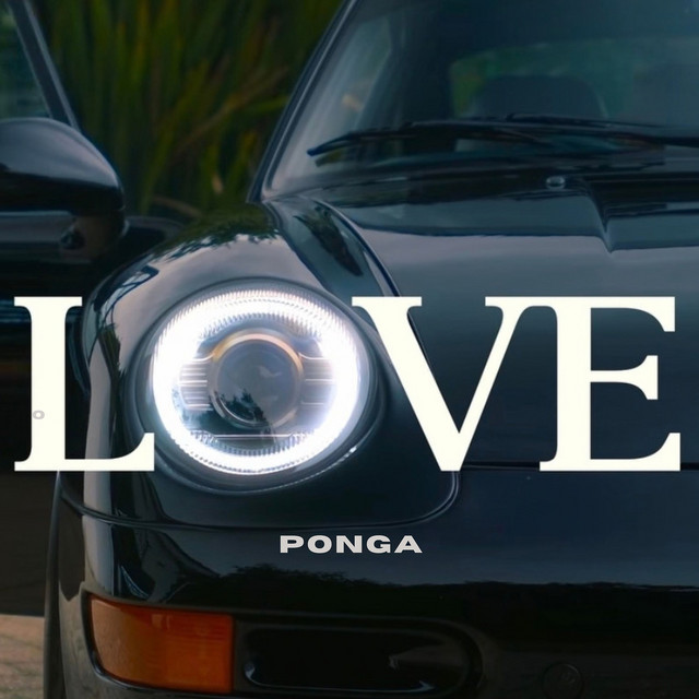 ponga
