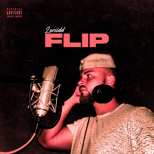 Flip cover art