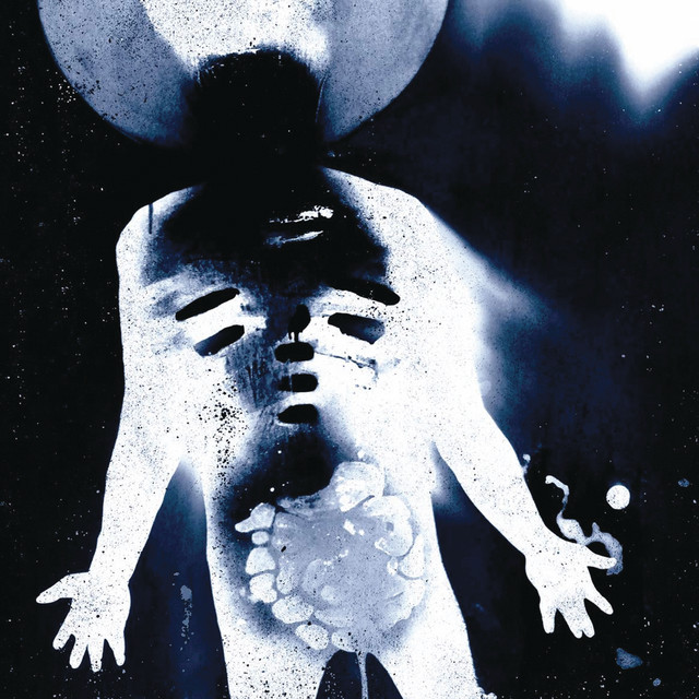 Nocturnal (Redux)