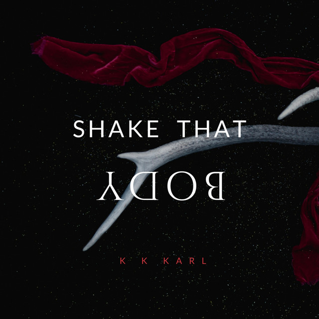 Shake That Body cover
