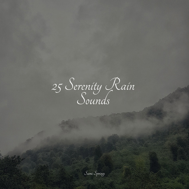 25 Serenity Rain Sounds - Album by Natureza Musica Bem-Estar Academia ...