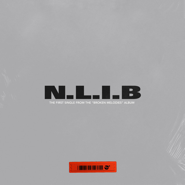 N.L.I.B cover