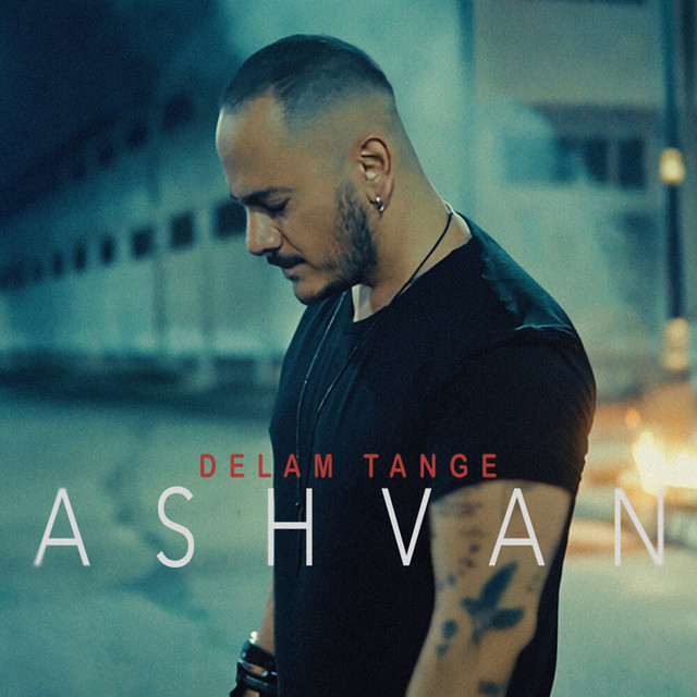 Cover of Delam Tange