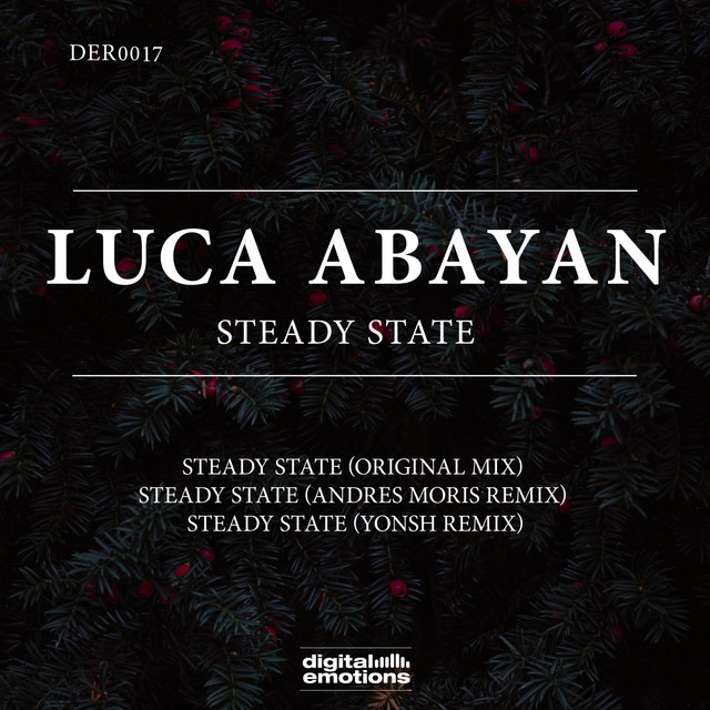 Steady State cover art