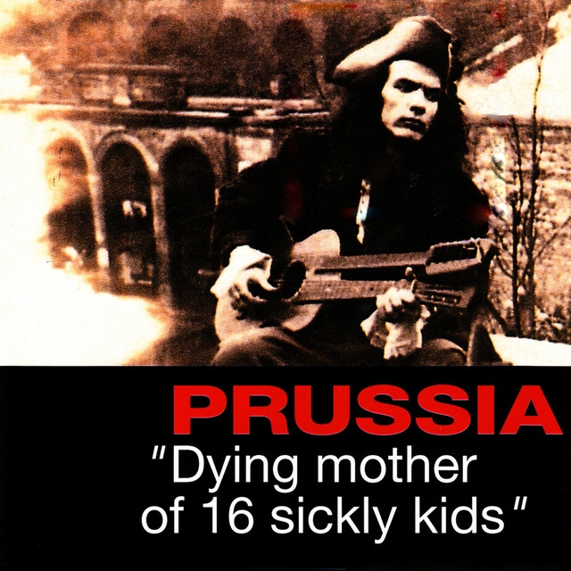 Dying Mother of 16 Sickly Kids cover art