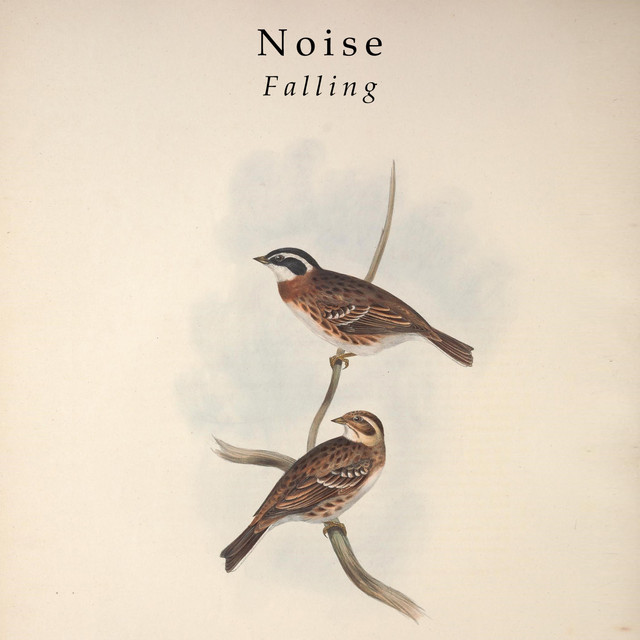 Falling cover art