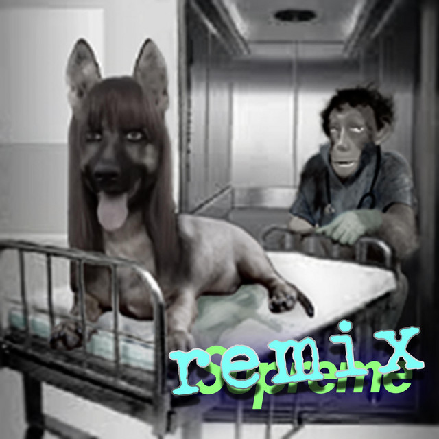 supreme thriller puppy - remix