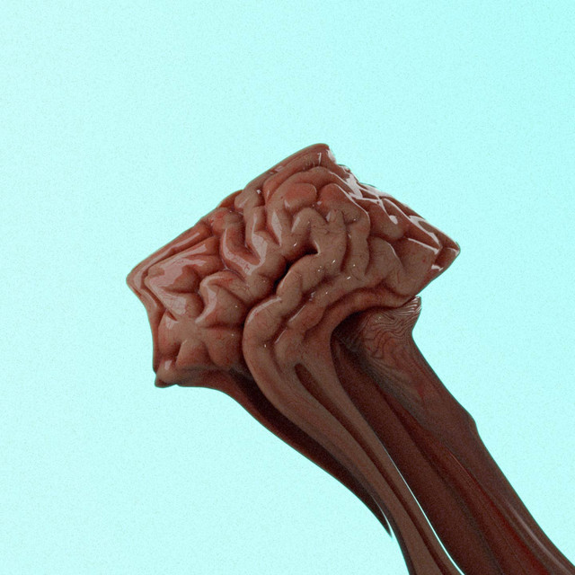 mindslips cover art