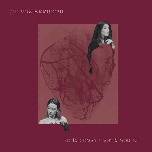 Ay voz secreta cover art