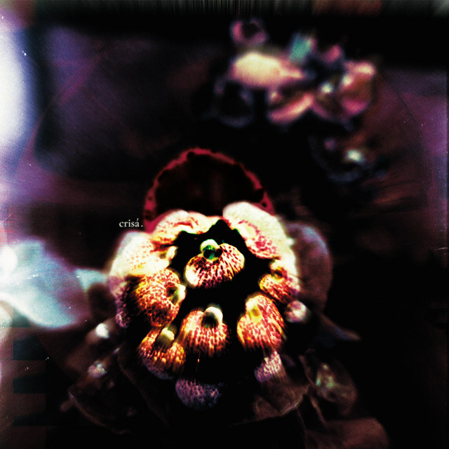 Crisá cover art