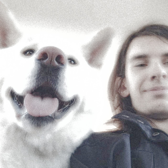 Обкладинка: rip my dawg — MŁODY DM