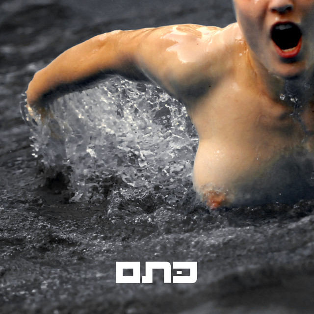 לשחות פרפר cover