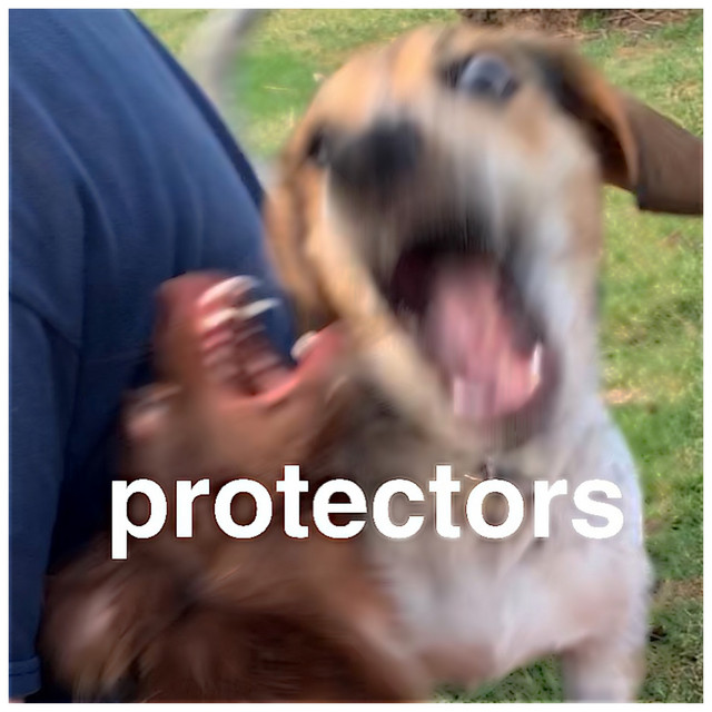 Protectors cover art
