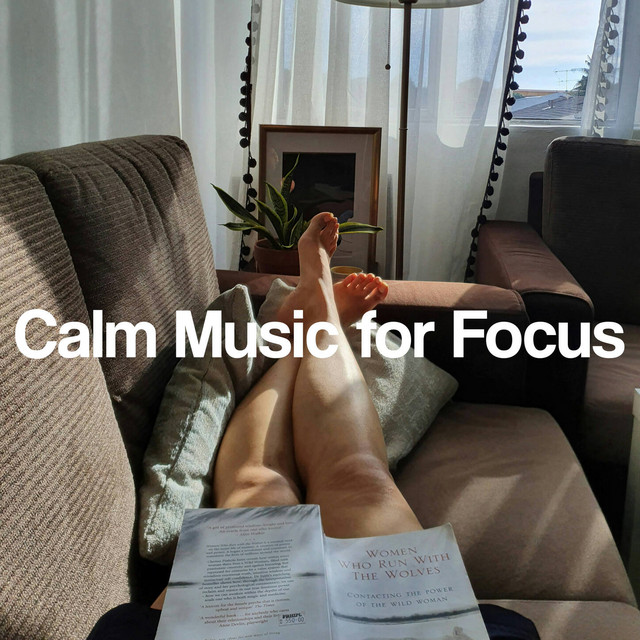 Relaxing Classical Music For Studying