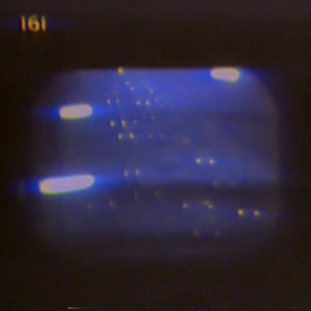 Movement Transitory cover art