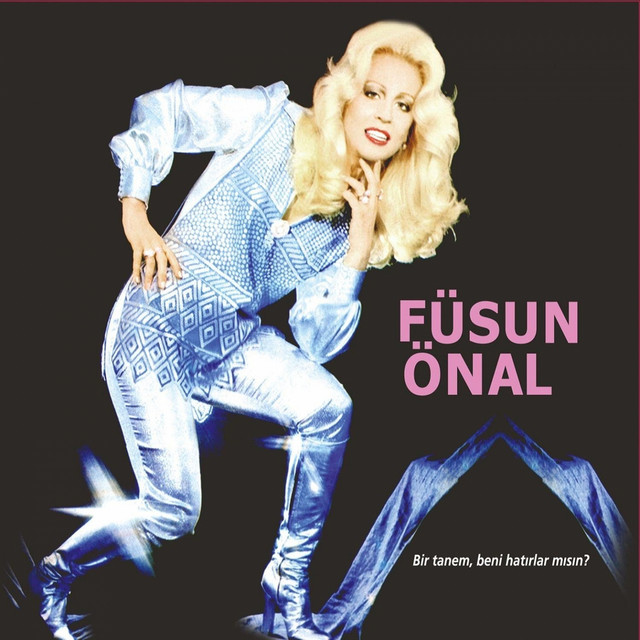 Bir Tanem, Beni Hatırlar Mısın ? cover art
