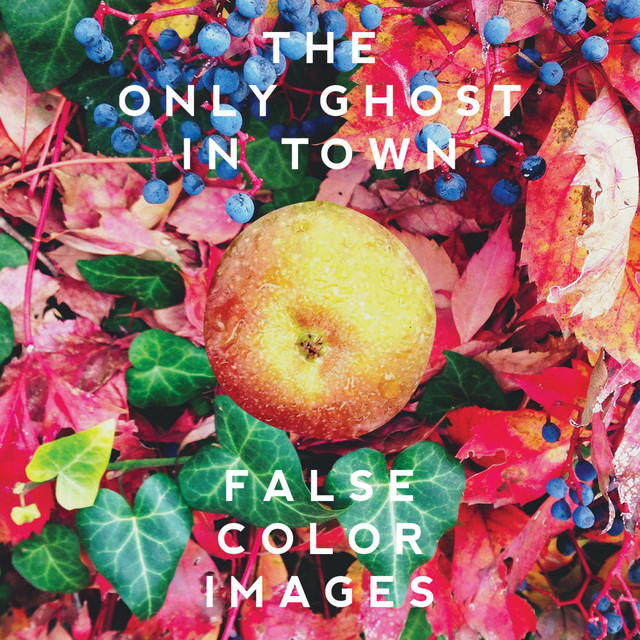False Color Images cover art