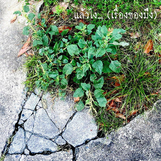 แล้วไง… (เรื่องของมึง) cover art