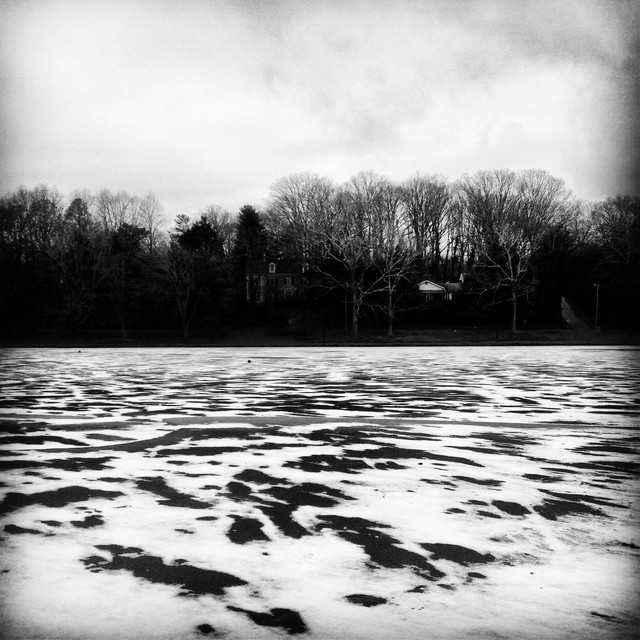 The Photographs (single)