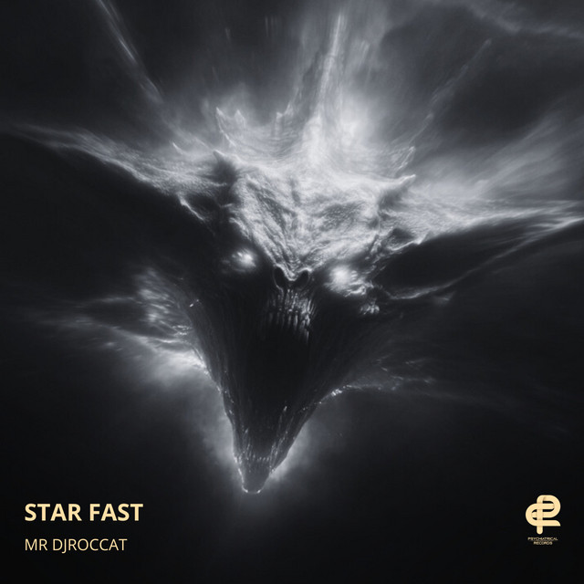 Mr DjRoccat – Star Fast