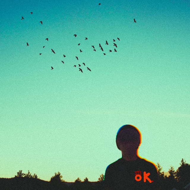 It's Ok cover