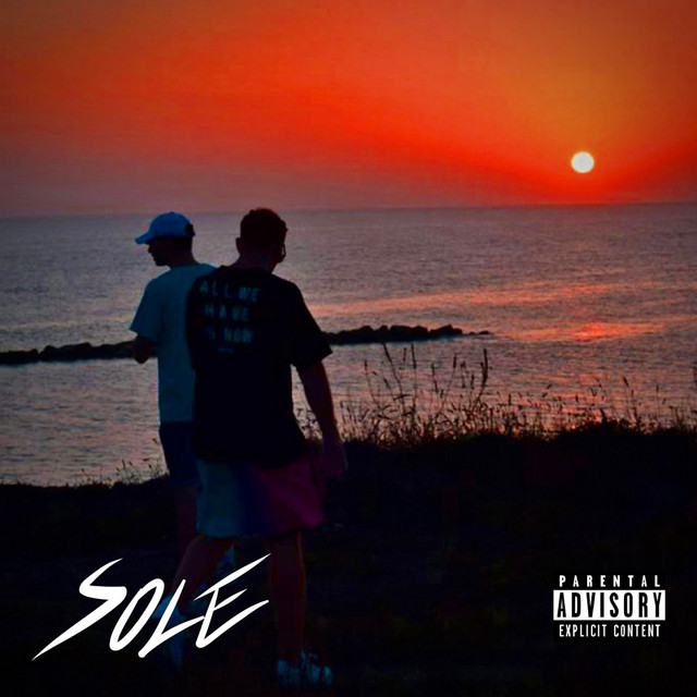 Sole cover art