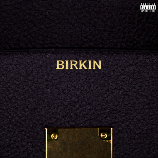 BIRKIN cover art