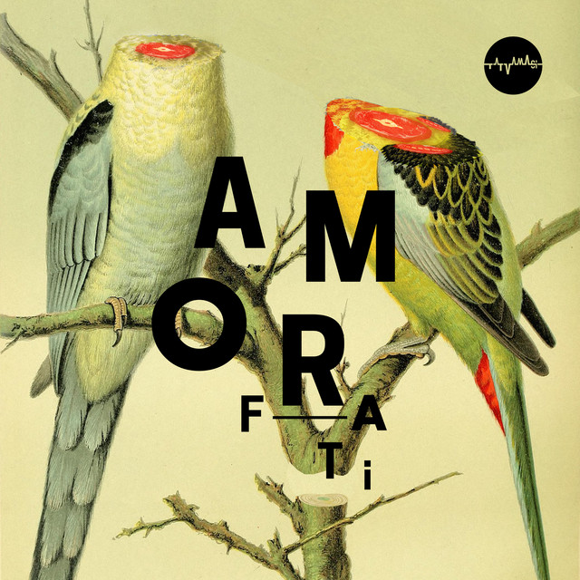 Amor Fati cover