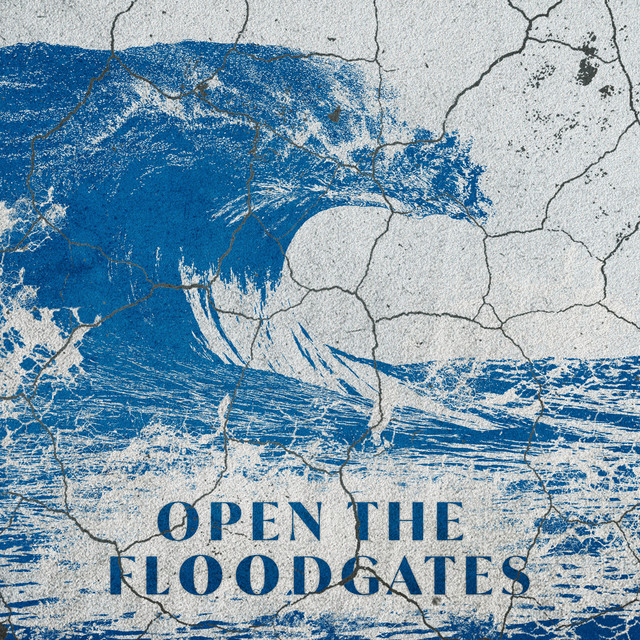 Open The Floodgates (Live) album image