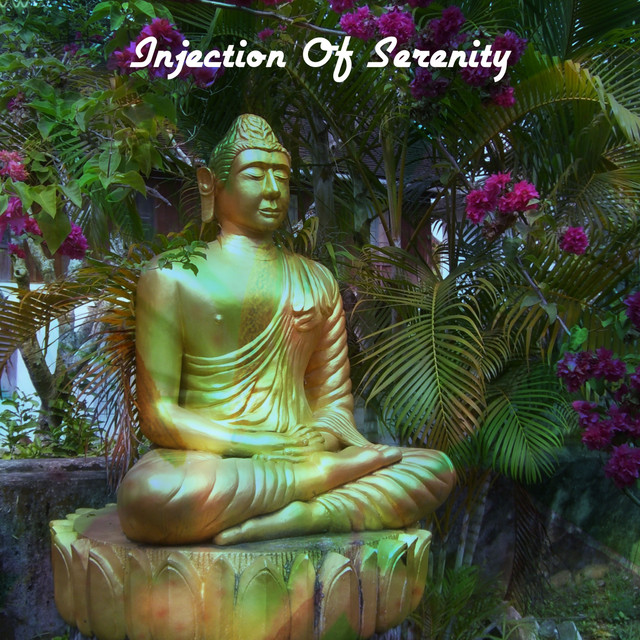 Injection Of Serenity cover art