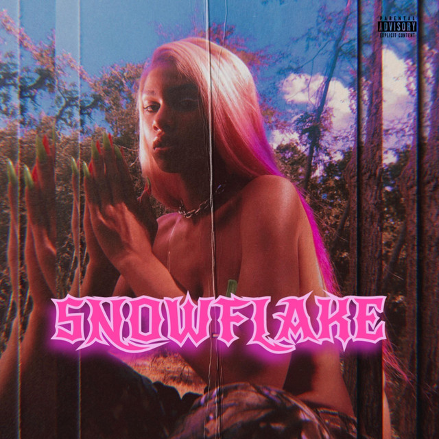 Snowflake cover art