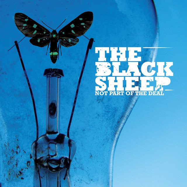 The Black Sheep Photo