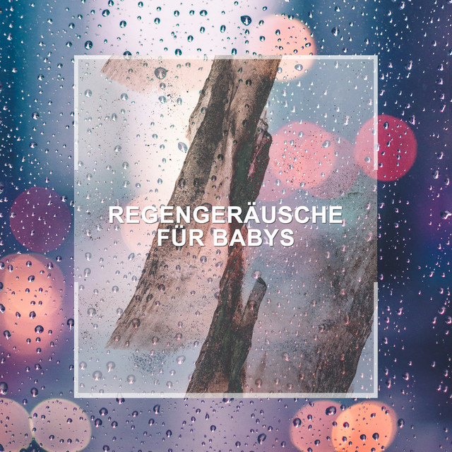 Herbstregen Photo