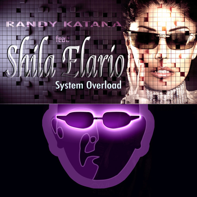 System Overload cover art