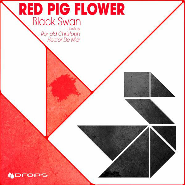 Black Swan - Hector De Mar Remix cover art