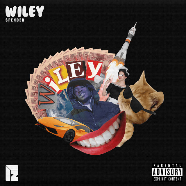 Wiley cover art
