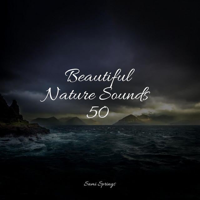 Beautiful Nature Sounds 50 - Album by Natural Rain Sounds for Sleeping ...