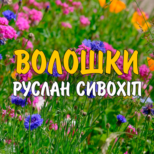 Обкладинка: Волошки — Руслан Сивохіп