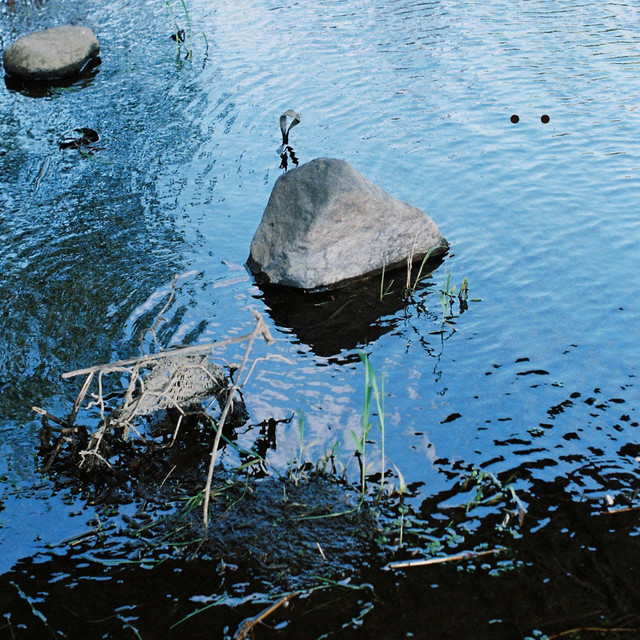 Drowned cover art