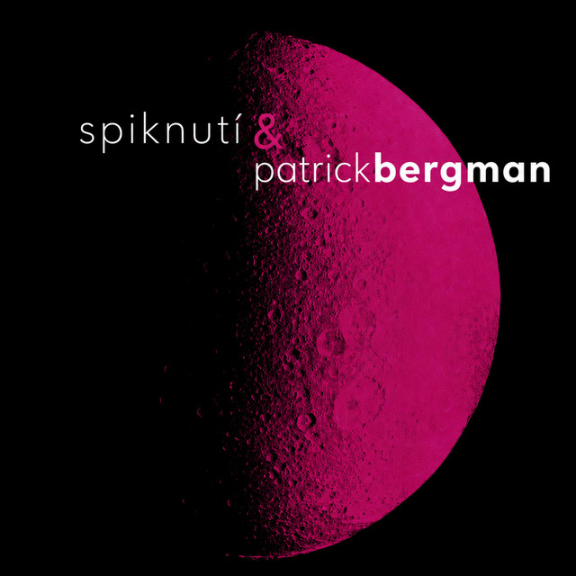 Nejde to (Patrick Bergman Remix) cover