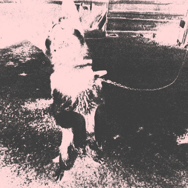 Psycho cover art