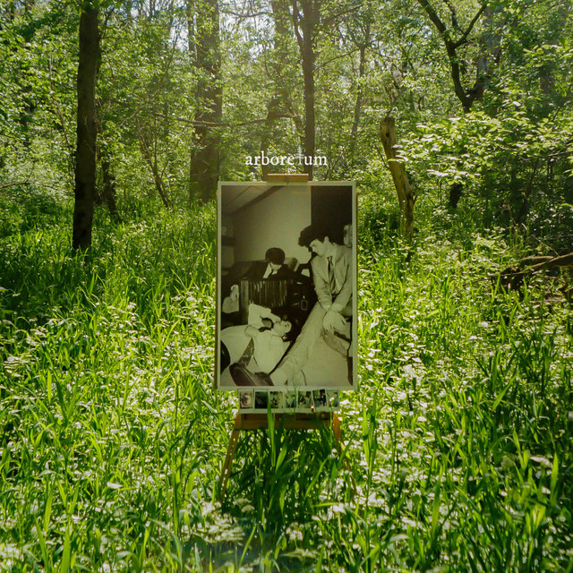 Arboretum cover art