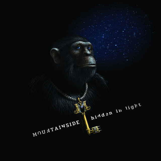 Hidden In Light cover art