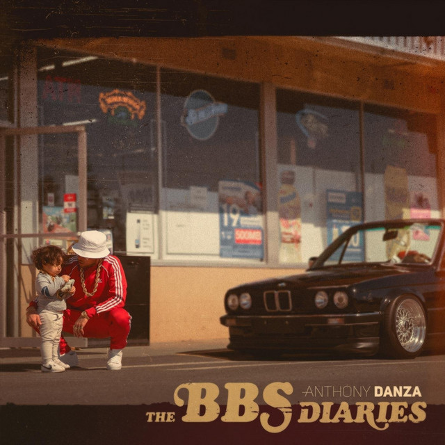 The BBS Diaries cover art