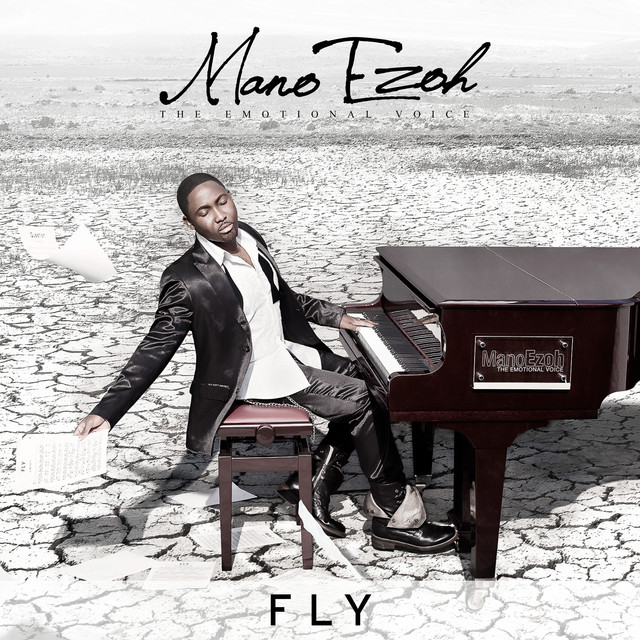Fly cover