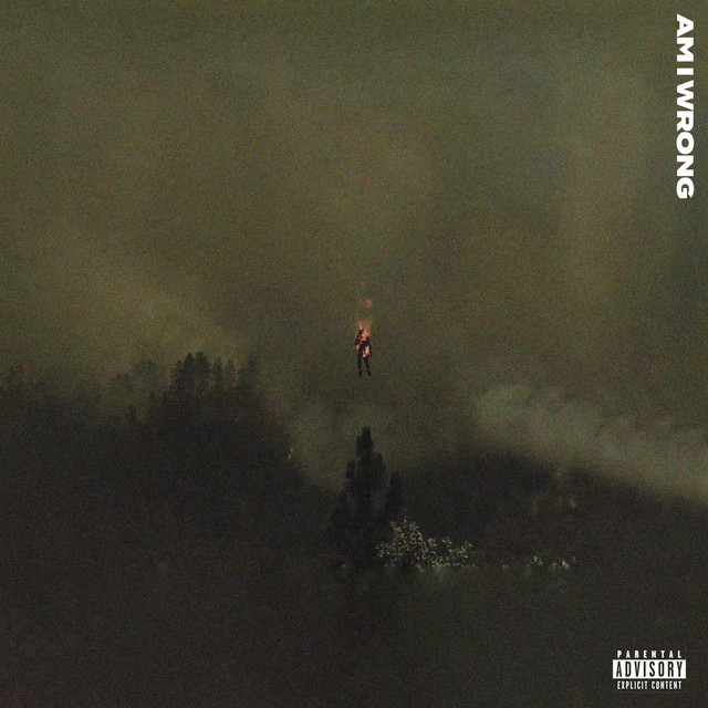 AM I WRONG cover art