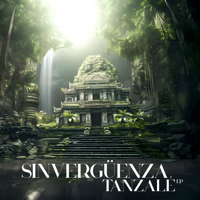 sinvergüenza - tanzalé cover
