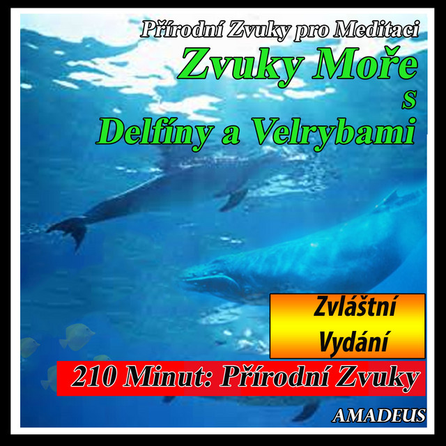 Přírodní Zvuky pro Meditaci: Zvuky Moře s Delfíny a Velrybami: Zvláštní Vydání cover art